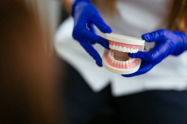 Best Dental Inlays and Onlays  in Parshall, ND